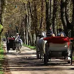 Kuca Sarajevo Za Izdavanje