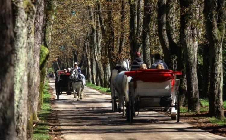 Kuca Za Izdavanje * Sarajevo
